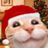 :33 emote