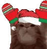 Catting emote