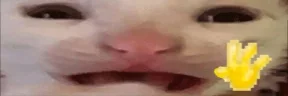 byeee emote