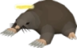 HOLYMOLY emote