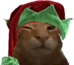 buh emote