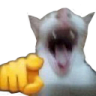 GAJAJA emote