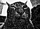 buhx emote