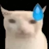 vanish emote