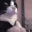 catcatdance