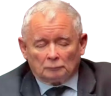 d4 emote