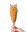 CatDog