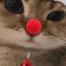rar emote