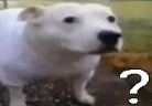 ???? emote