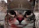 FLASHBACKS emote
