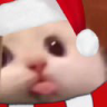 bla emote