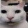 catPeace emote