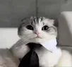 BASED emote