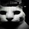 gatoO_o emote