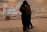 SnowDance