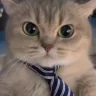 catTie emote