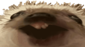 ddx emote