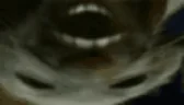 pxp emote