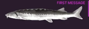 FirstTimeJoeler emote