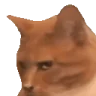 Meowing emote