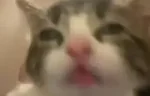 bluh emote