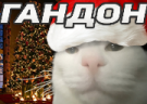 GANDON emote