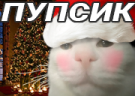 PUPSIK emote