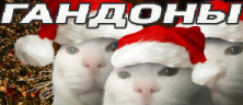 GANDONbI emote