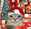 christmas emote
