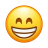 xd) emote