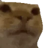 Awkward emote
