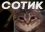 Emote