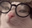 science emote
