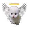 angelpert emote