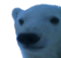 bearLookingAtU