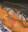 EEEE