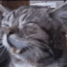 loll emote