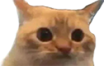 iamseriouslyatmyfuckinglimit emote