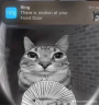 motion emote