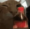buhShakey emote