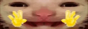 hiiiiii emote