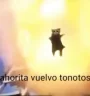 ahoritavuelvotonotos emote