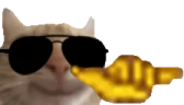 Cool emote