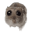 Emote