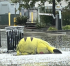 IchKannDasAllesNichtMehr emote
