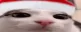 plink
