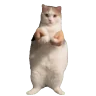 opopop emote