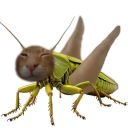buhg