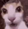 ahuett emote