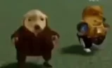 walkUs emote